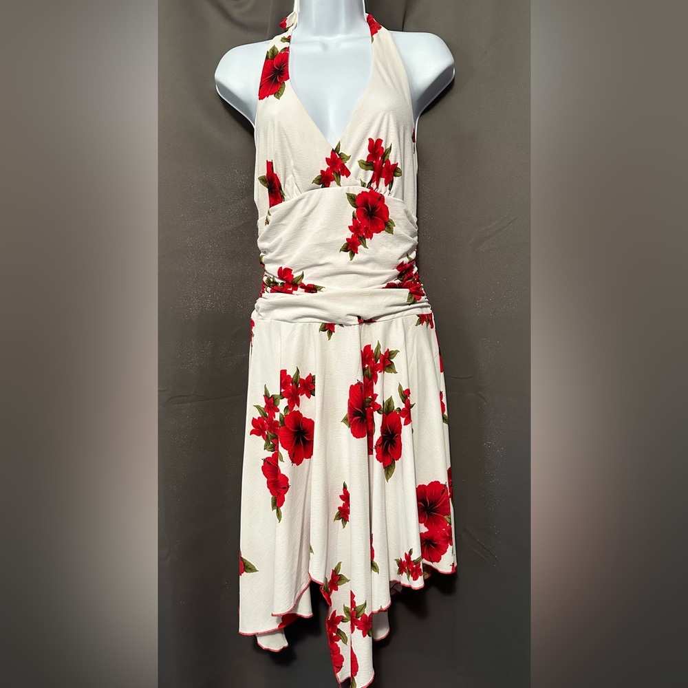 Like New-Vintage Style Halter Dress - Red Floral